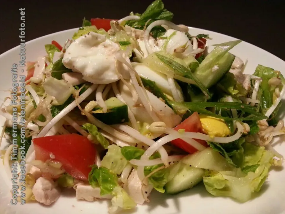 Fusion salad|Frank&Jolanda - Eteninbeeldさん