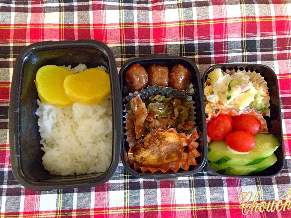 Snapdishの料理写真:8月22日お弁当|かえるさん