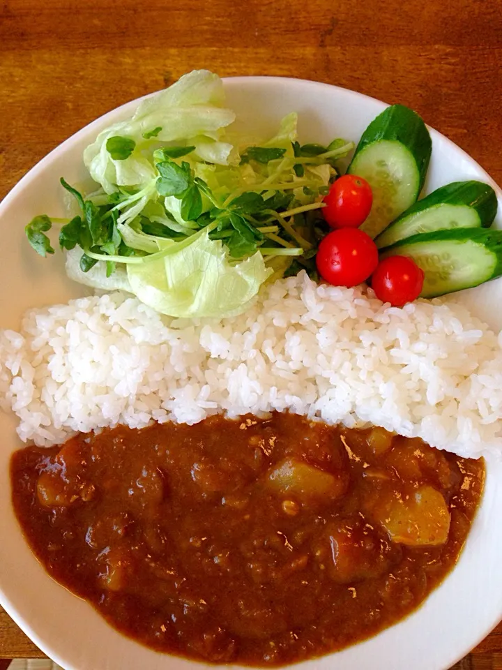 黒部に倣って、わが家のダムカレーが完成しました^ ^|ごはんできたよ〜さん