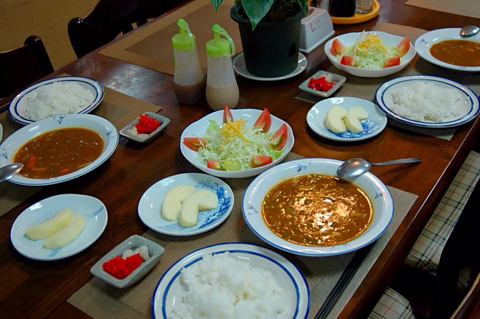 野菜だけのカレーとサラダ、そしてリンゴの今日の晩ご飯|Keisei Chouさん