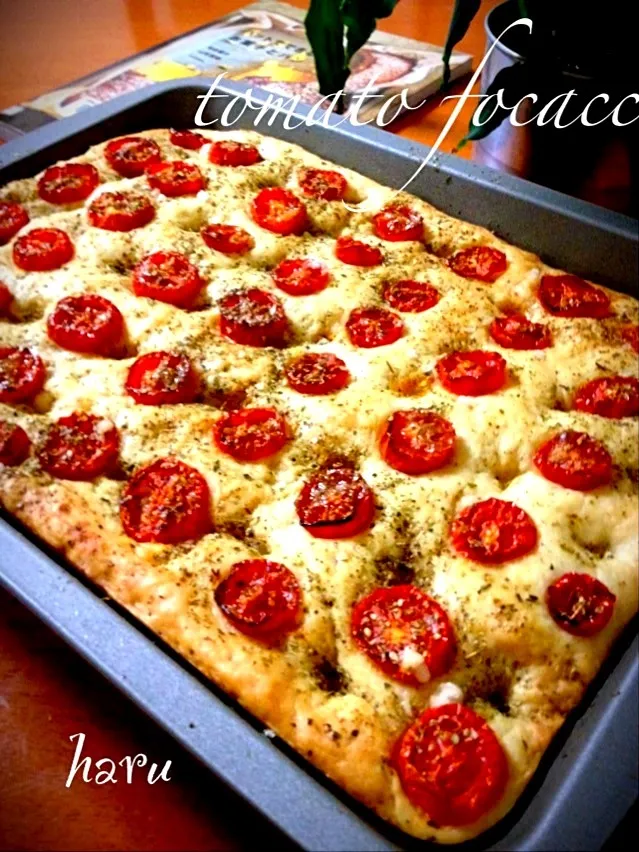 tomato focaccia(*^^*)|ハルさん