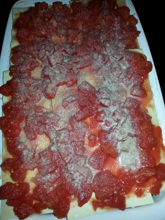 pre baked vegan lasagna.|Polly Gelfusoさん