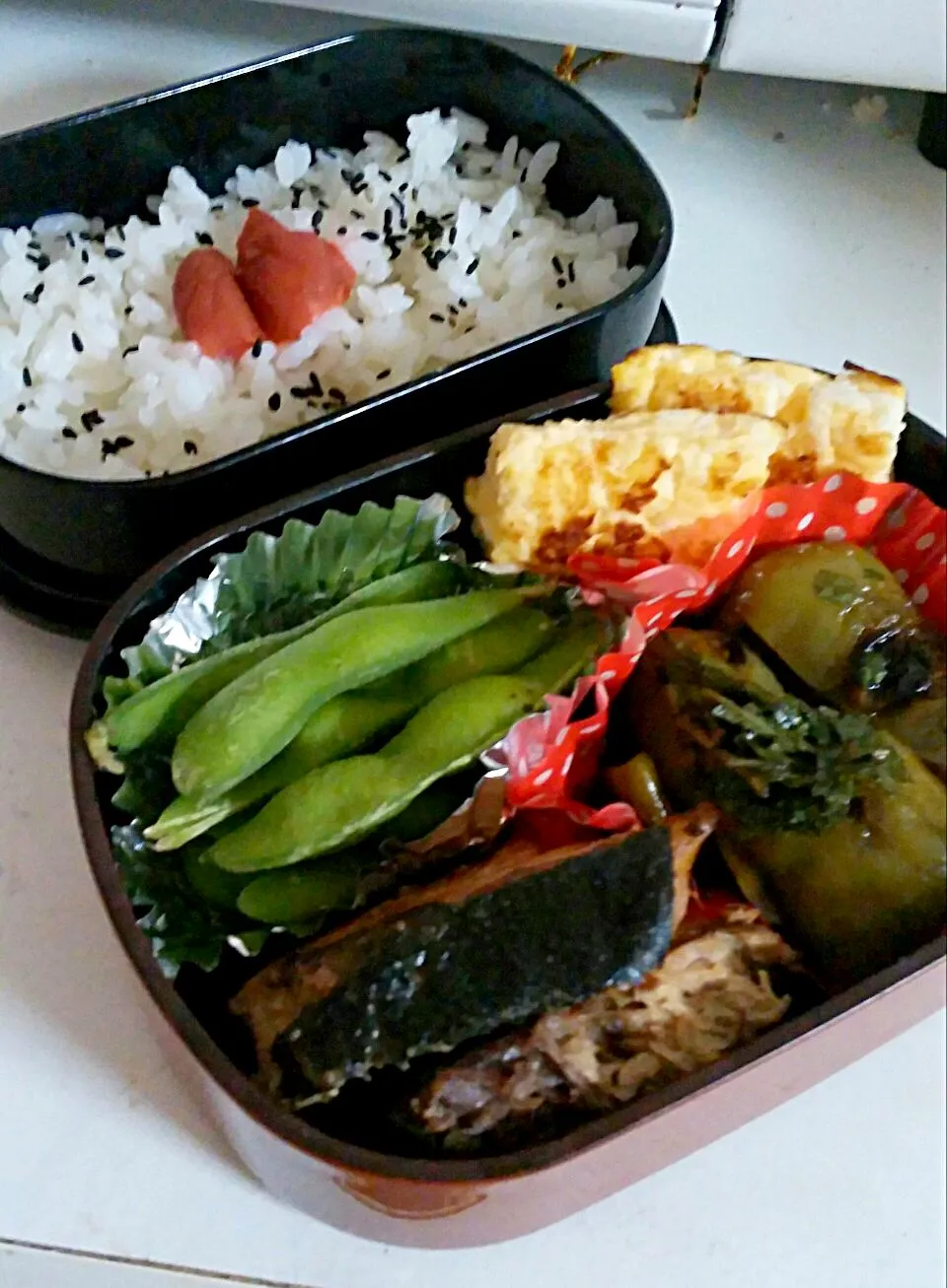 今日のお弁当|cocoaさん