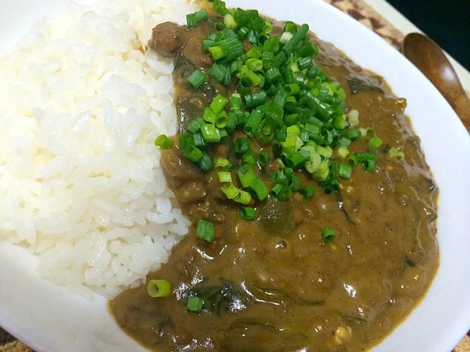 Snapdishの料理写真:カレー|tanissandoroさん