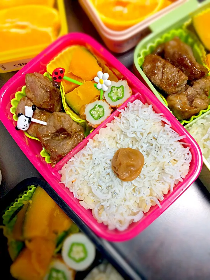 肉食女子のステーキしらすご飯弁当🍖|めぐりんさん