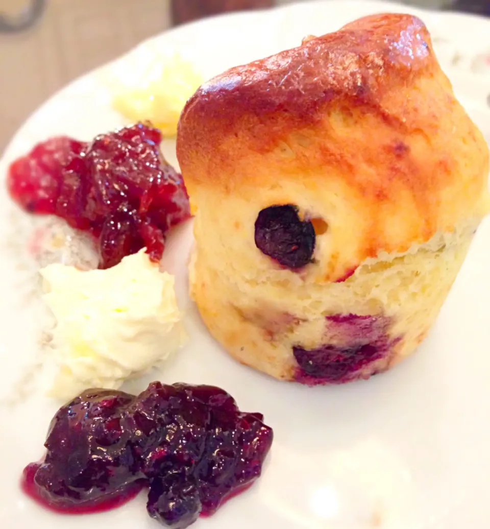 Blueberry scone with jam, clotted cream and butter. English high tea@L'espresso, Goodwood Park Hotel.|coxiella24さん