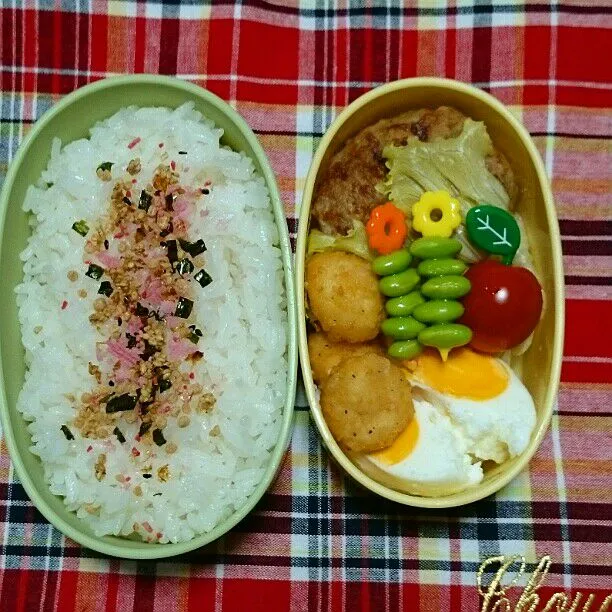 8/27(水)の旦那弁当🍱
♪ハンバーグ
♪コロコロチーズ
♪目玉焼き
♪ミニトマト
♪枝豆|ふみぃさん