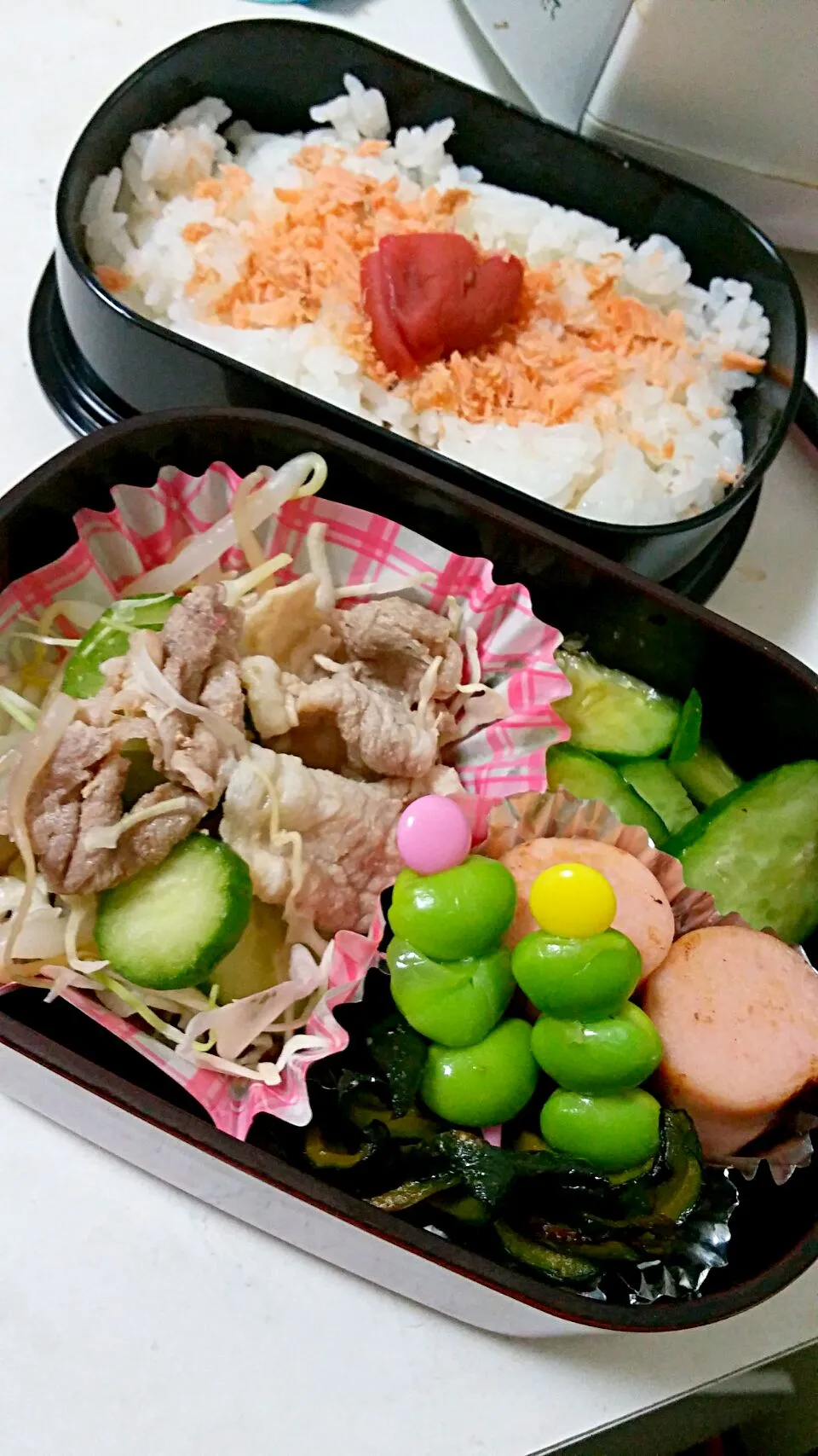 今日のお弁当|cocoaさん