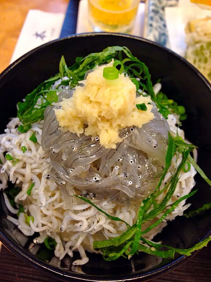 Snapdishの料理写真:しらす丼|もっぴさん