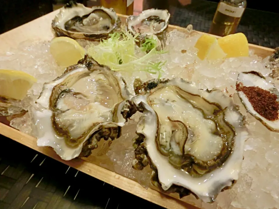 oysters|Yvonne C.さん