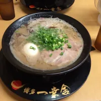 一幸舎・味玉ラーメン|真紅さん