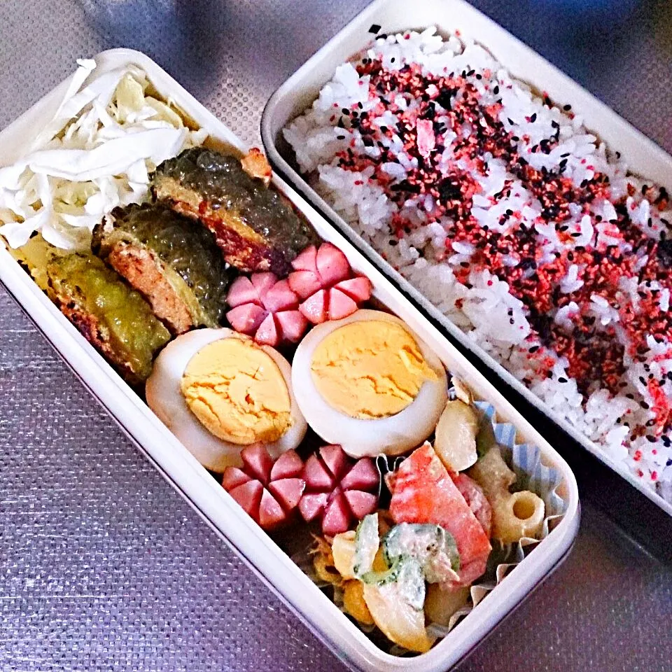 Snapdishの料理写真:8月28日 パパのお弁当|かなこさん