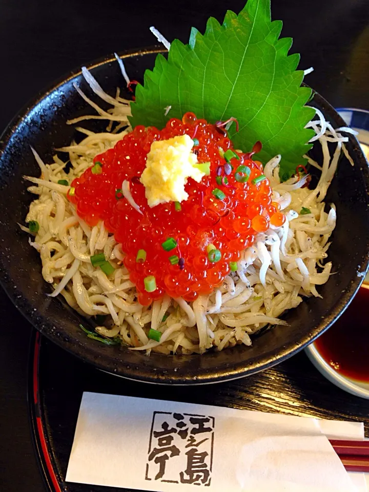 しらすいくら丼|もっぴさん