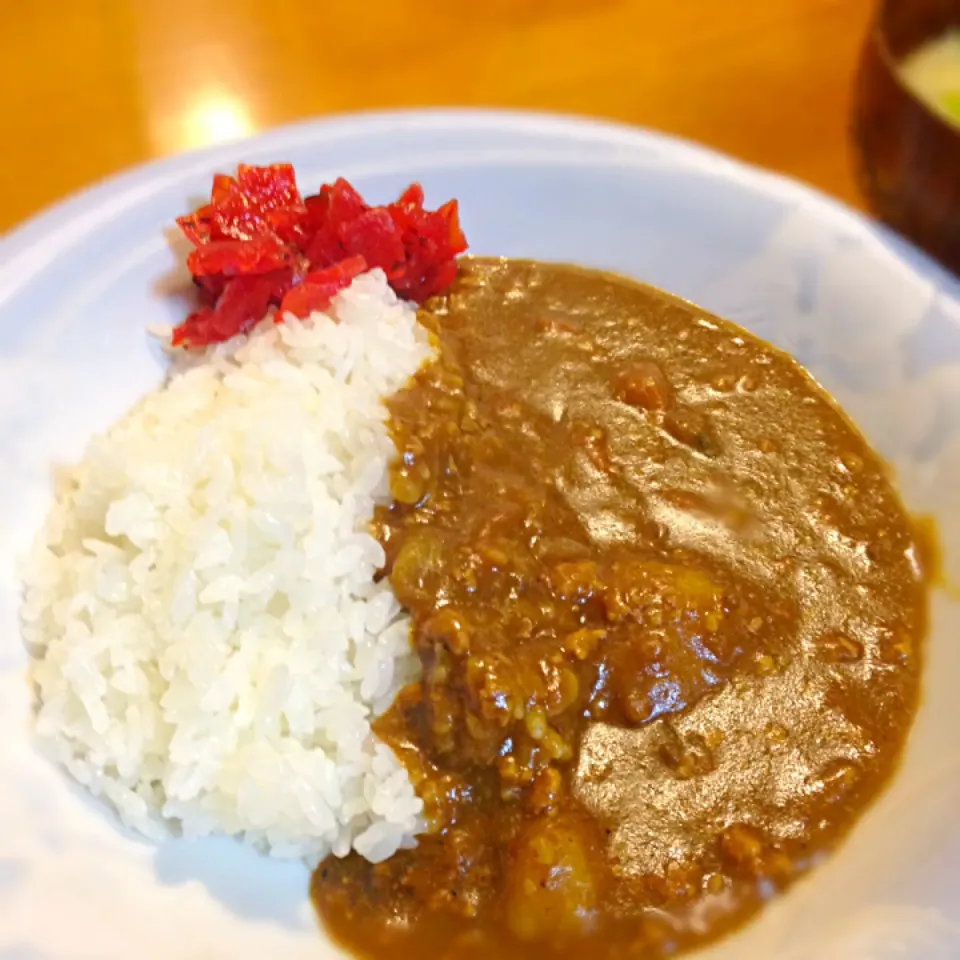 スパイスカレー|みつなち☆さん