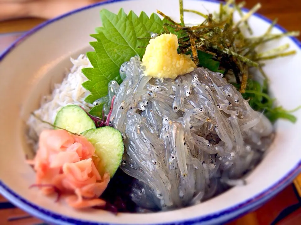 江ノ島で食べた飯|かっちっさん