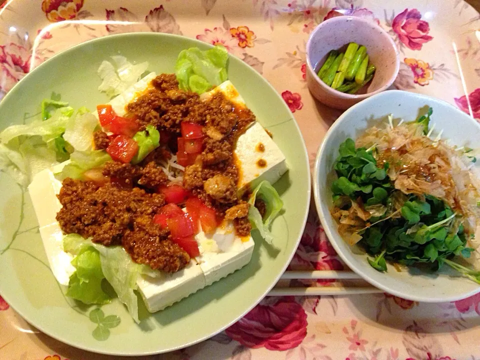 ダイエット中のパパさんの夕食|ごっちさん