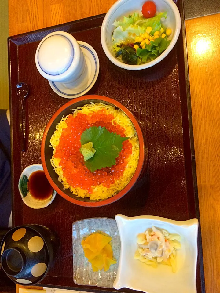 いくら丼|ちゃんまなさん