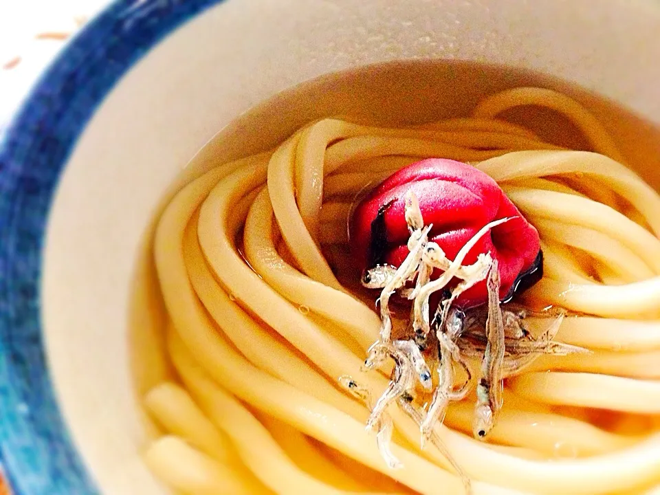 Snapdishの料理写真:目指すは“冷水うどん”だったのだが…|ち〜おんさん