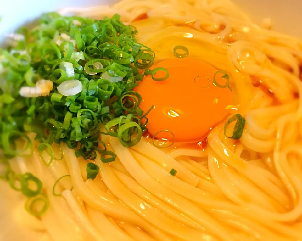 今日の昼は   釜玉うどん|mottoさん