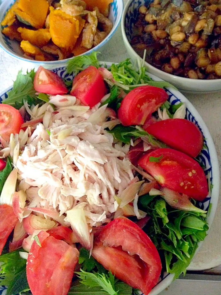 鶏ササミのレンジ蒸し 水菜 大葉 茗荷 🍅 🎃の煮物 🍆と大豆ね味噌煮|掛谷節子さん