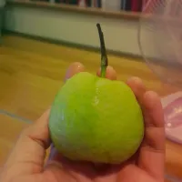 ผลไม้|ภูมิพงศ์ ตุละさん