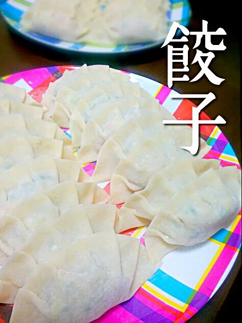 fried pork dumplings!!|和田 匠生さん