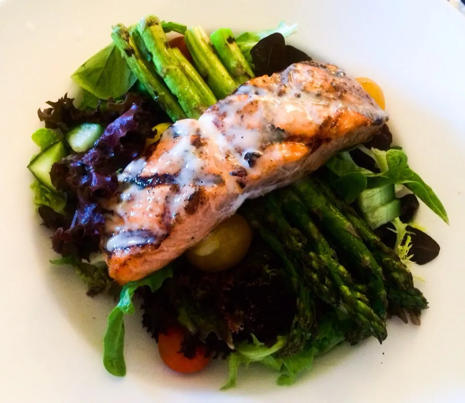 Grilled Salmon Salad from the Omni Hotel|sooprcoolchicaさん