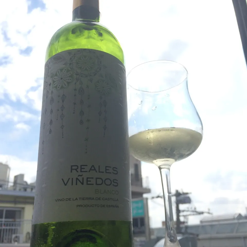 Real Compania de Vinos Reales Vinedos Blanco|Koichi Shibataさん