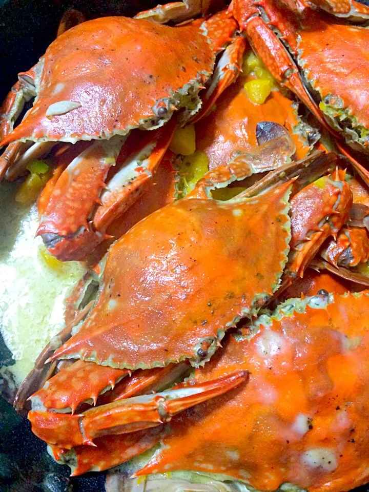 Crabby crabs..|Lizelle Manlodさん