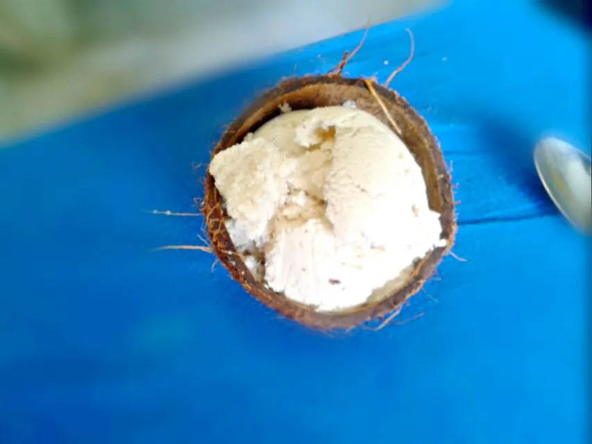 Homemade Coconut Milk & Chocolate Chip Ice Cream|Bryan S. Mooreさん