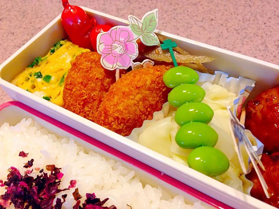 Snapdishの料理写真:肉団子ど〜ん弁当〜❤︎|Seikoさん