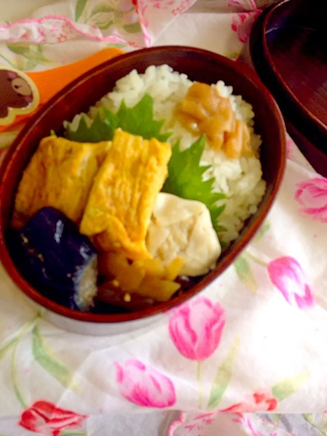 今日のお弁当|白さん