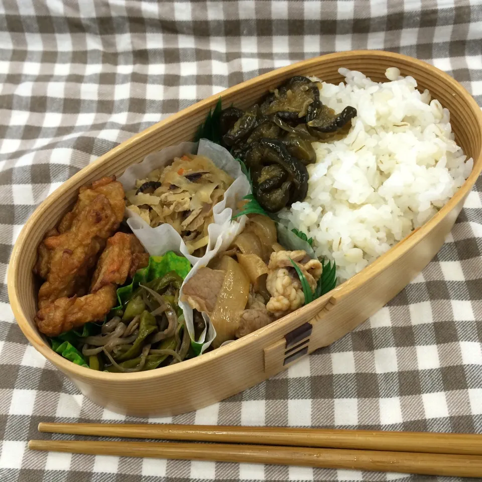 弁当（カルビ焼肉、伏見唐辛子とジャコの炒め煮、切り干し大根、野菜天、胡瓜佃煮）|SasaMasa213さん