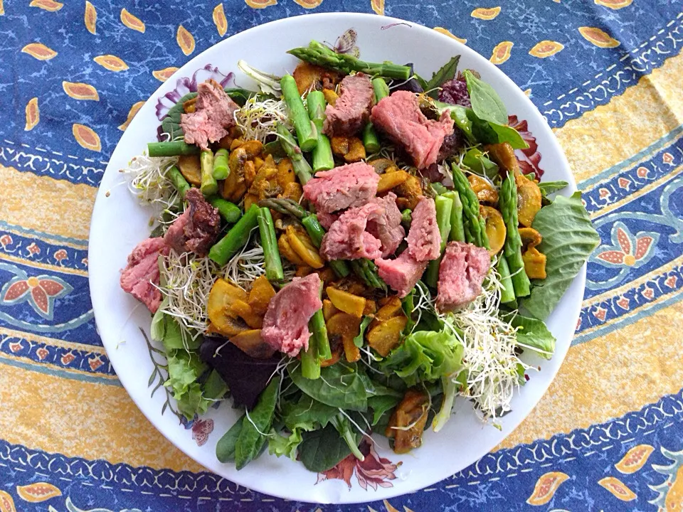 Beef and Asparagus Salad with Alfalfa Sprouts|Cheryl Melnickさん