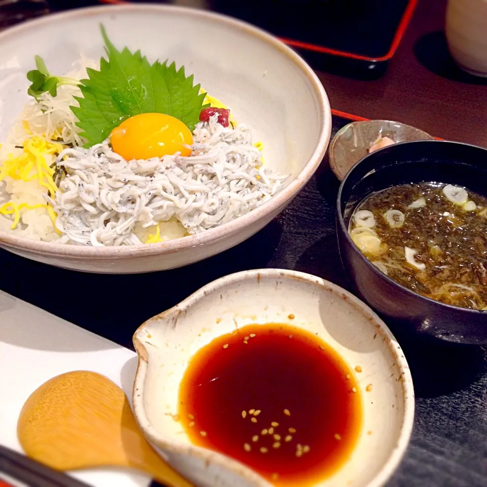 筑波久慈浜丸の釜揚げしらす丼|ヒロリンさん