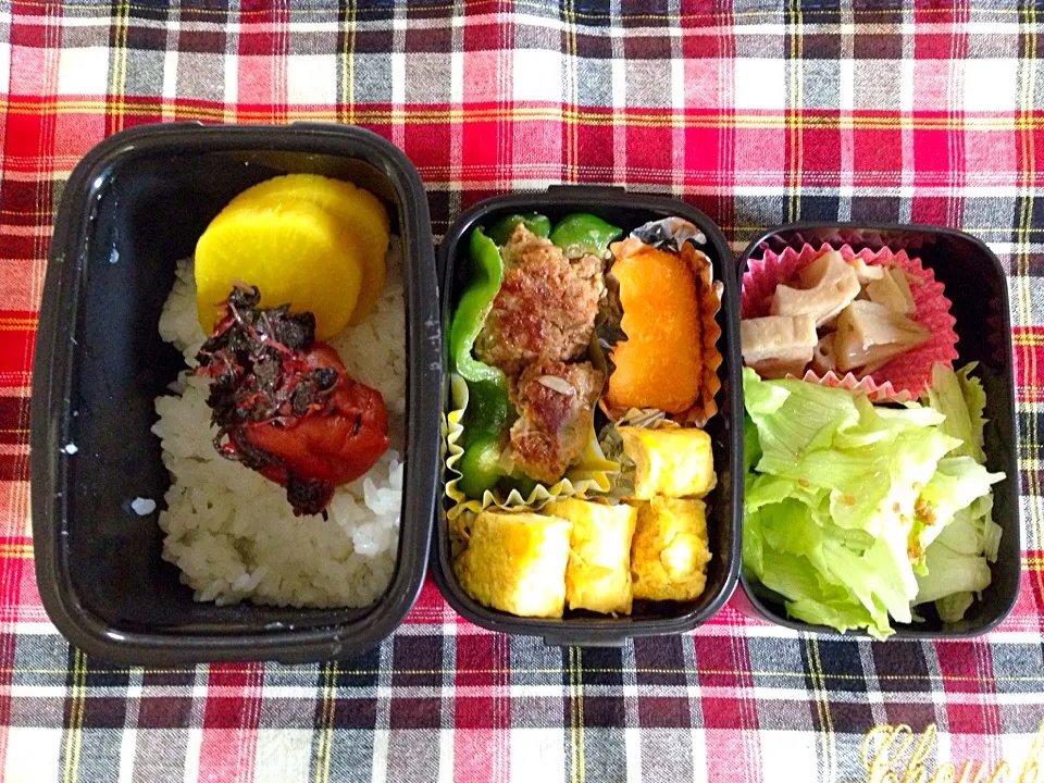 Snapdishの料理写真:9月1日お弁当|かえるさん