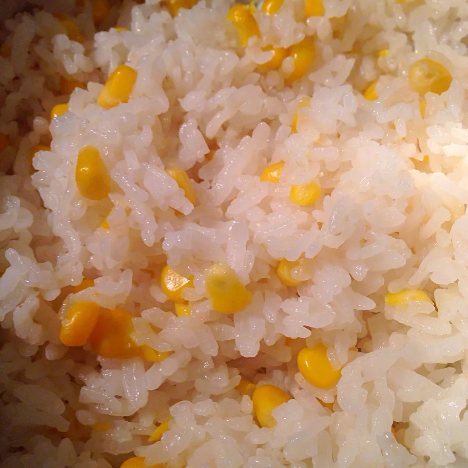 corn rice|Meeさん