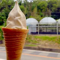 メイプル風味のクリスピーコーンソフト|まさっちさん