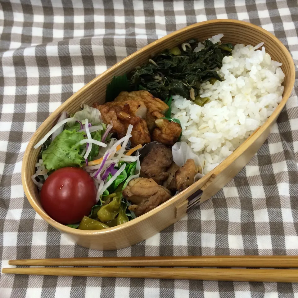 弁当（鶏肉黒胡椒焼き、玉ねぎ天、伏見唐辛子とジャコの炒め煮、サラダ、木胡椒佃煮）|SasaMasa213さん