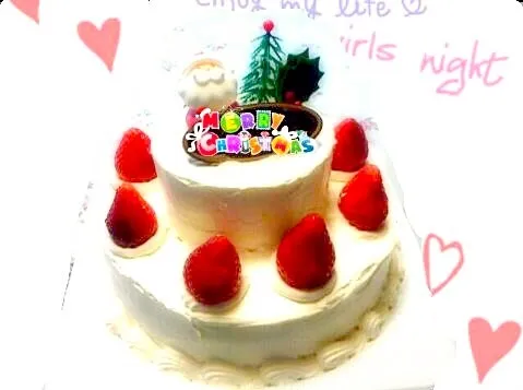 クリスマス二段ケーキ|あんぽんたんさん