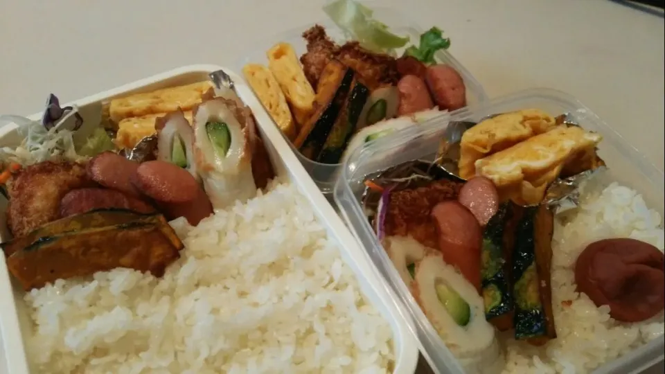 弁当初日のお弁当♪|美&琴&魁&竜さん