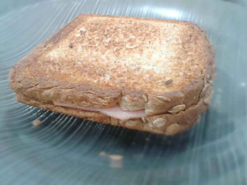 Snapdishの料理写真:02/09/2014 - lanche da tarde

sanduíche de pão integral + queijo de coalho light + peito de peru defumado light|Gabriela Baptistaさん