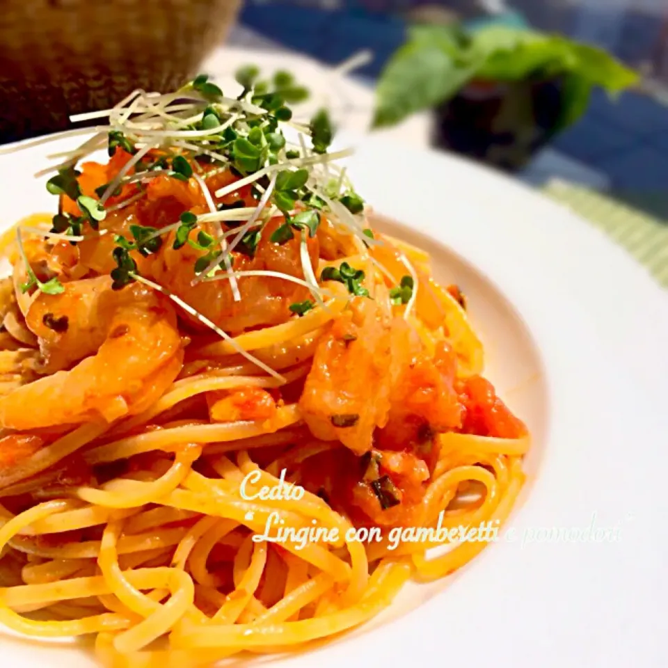 Linguine con gamberetti e pomodoro  食べるラー油でちょいピリ辛海老トマトパスタ|Cedro🍋さん