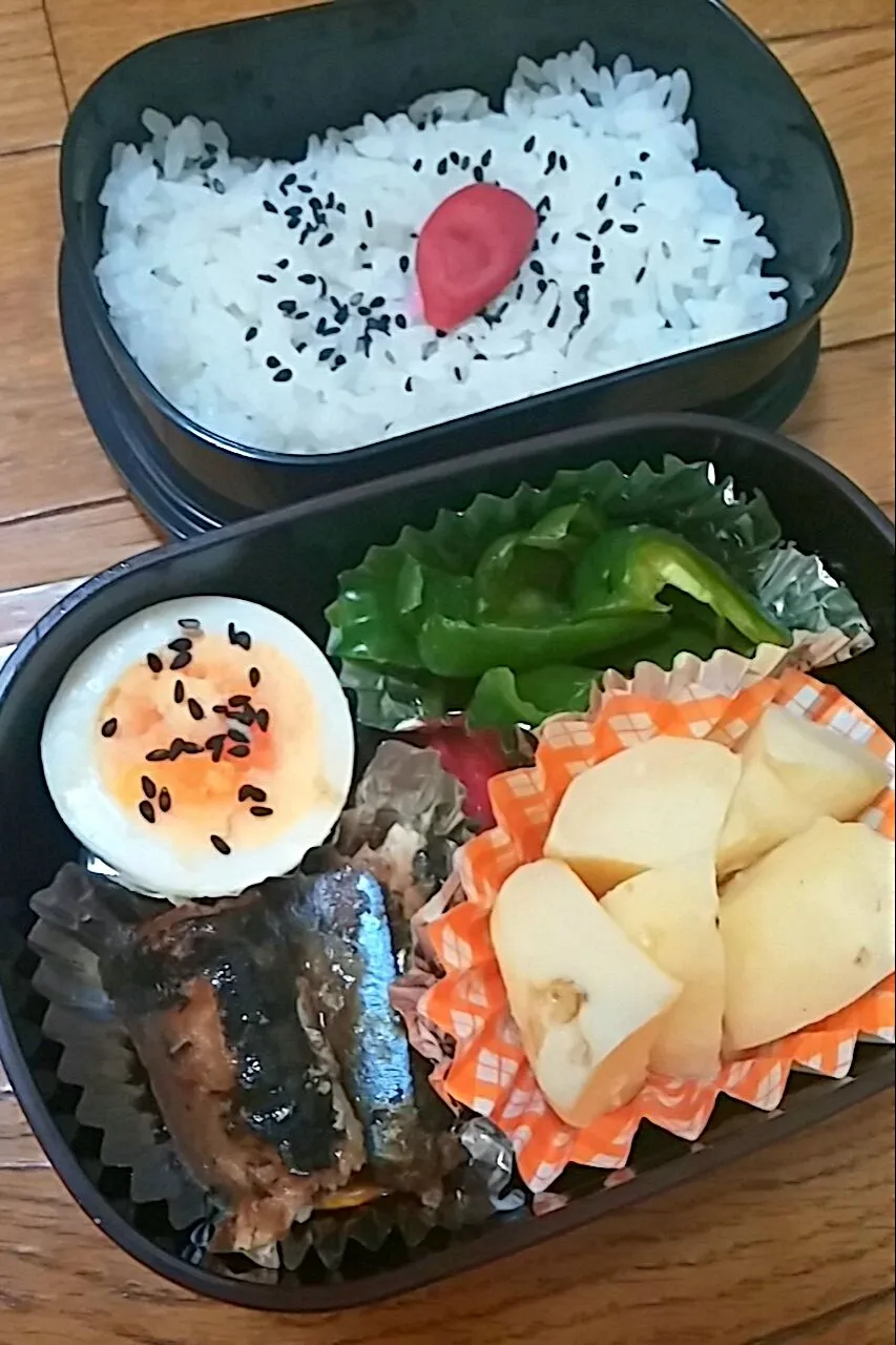 今日のお弁当|cocoaさん