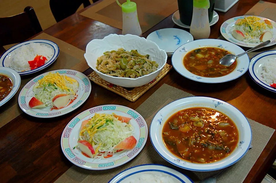 野菜カレーに野菜サラダダイコンと苦瓜のきんぴらと野菜オンリー。|Keisei Chouさん