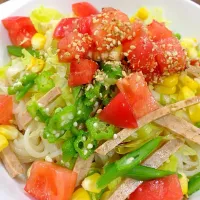 ベジぶっかけ半田手延べ麺|Shinji  Takeiさん