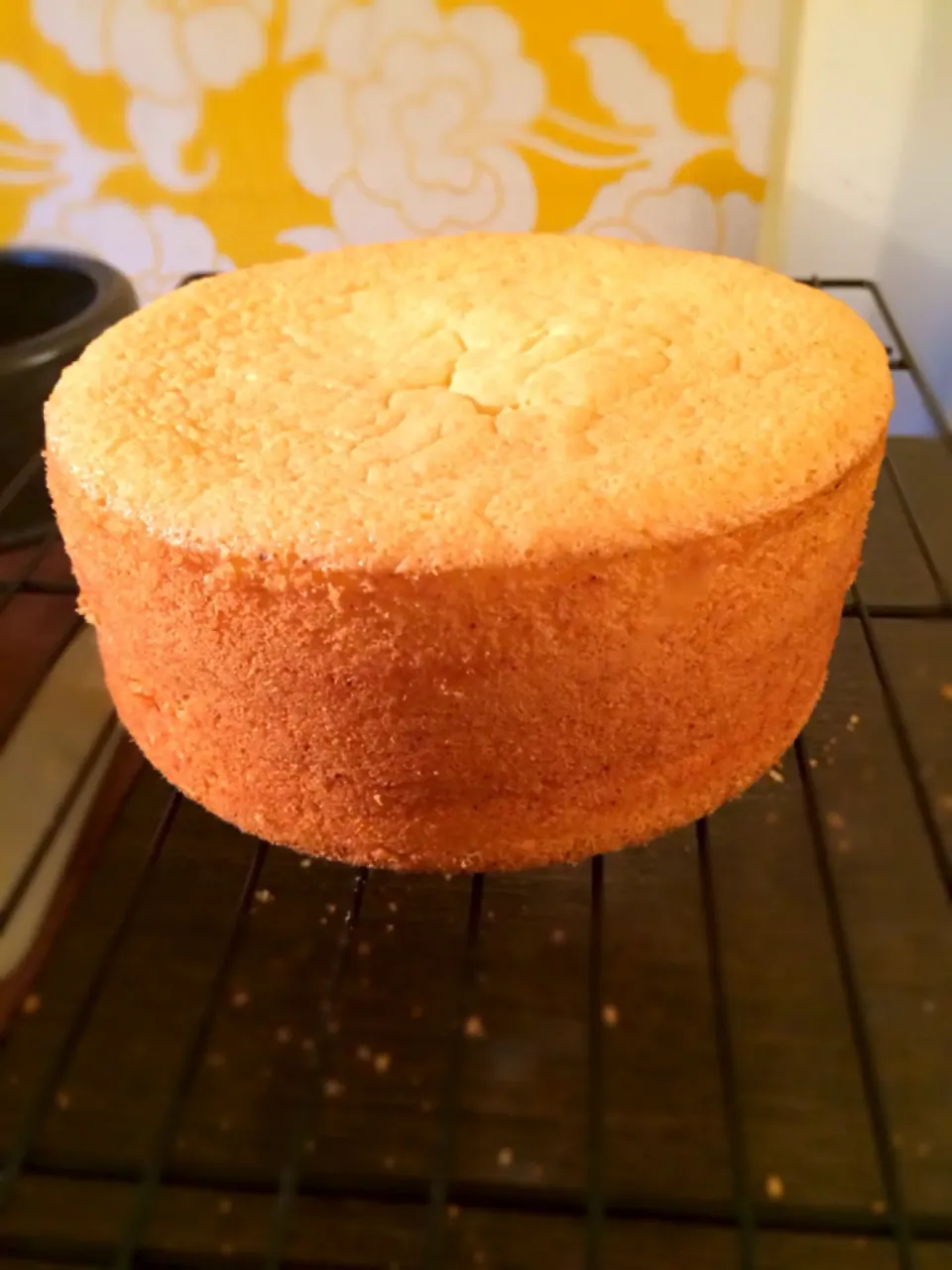 Genoise cake|Aimee Panさん