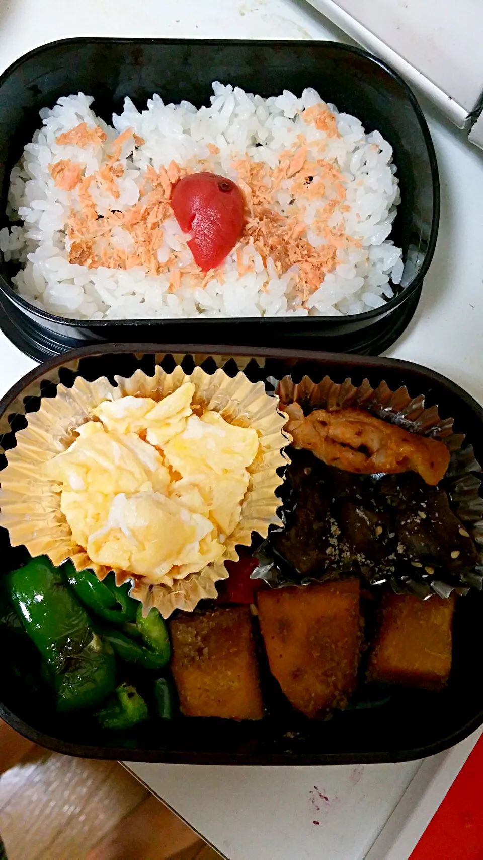 Snapdishの料理写真:今日のお弁当|cocoaさん