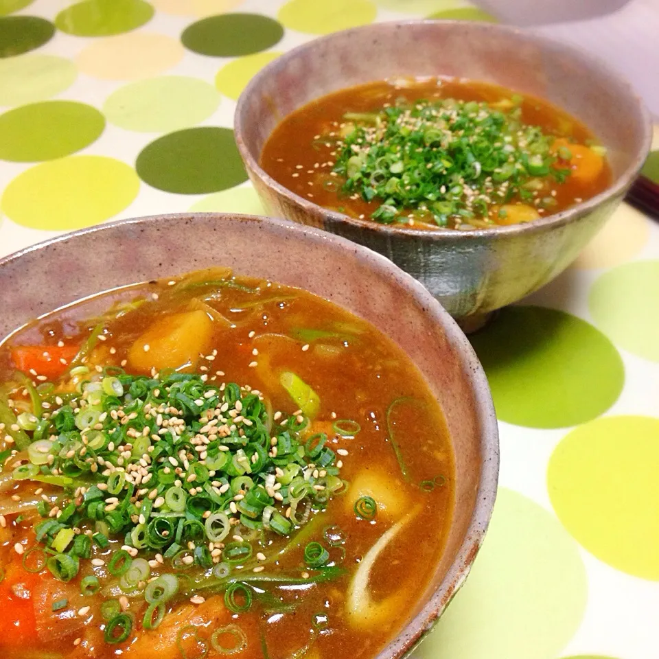 鰹ダシで旨いっ！カレー煮麺。|うさ爺さん