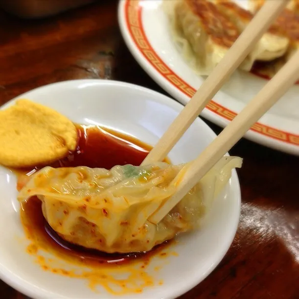 亀戸 亀戸餃子の焼餃子
お品書きは焼餃子のみ
コの字カウンターでひたすら餃子を食す、ライスさえない|Yogiさん